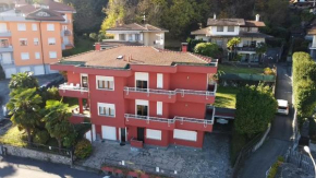 Ortensia Baveno